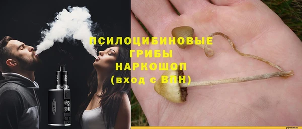 MESCALINE Белокуриха